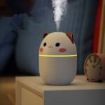 Humidifier